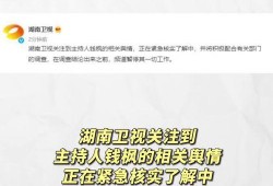 娱乐圈吃瓜表格