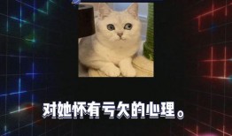 吃瓜娱乐圈八卦qq群,QQ群里的吃瓜盛宴